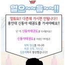 용인대 신동아 태권도 이미지