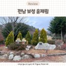 전남 보성 여행 가볼만한곳 윤제림 성림원 11월 방문후기