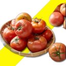토마토 이미지