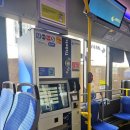 가르텐비어 | 뮌헨 영국정원 후기｜비어가르텐에서 서핑스팟까지 천천히 걸어보기