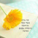 노래일번지 이미지