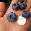 청하 농장 이미지