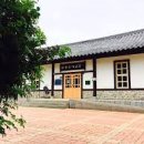 상록수 이미지