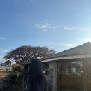 맛있성 | 제주도 여행 1일차 맛집 솔직 후기::<해월정, 성이시돌목장, 커피냅로스터스 제주, 미영이네 고등어회>