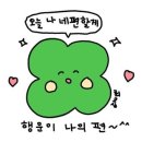 벨(Belle) - 수원시 영통구 | [다미아니] 벨 에포크 릴 목걸이💙 판교 현대백화점 구매후기(가격,착샷) Belle Époque Reel