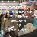 피오르디젤라또 | 이탈리아 로마 여행 나보나 광장 젤라또 맛집 화장실 이용 가능 젤라또 체인점 그롬 GROM Gelato