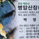 병암민박 이미지