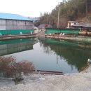 대물낚시터 이미지