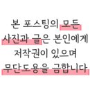 신독도쭈꾸미 네이버블로그