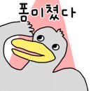 고넉담