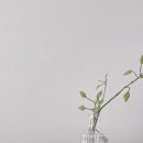 더제이메디칼 이미지