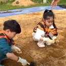 초촌초등학교-1 이미지