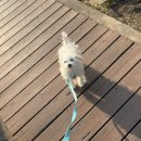 구야목장 이미지