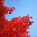 용소약수터 이미지