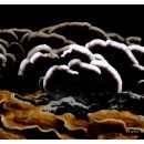 버섯마을 이미지