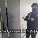 수성다듬이 이미지