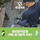 이지스제주지사