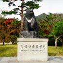 더테라피 - 동대문구 왕산로 20 | 더테라피