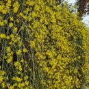 2019-주082 이미지