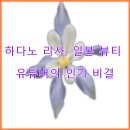 하다노 리사, 일본 뷰티 유튜버의 인기 비결