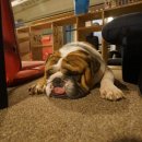 땅콩노래연습장 이미지