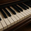 카펜터(carpenter) 네이버블로그