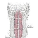 BODY MAKER 이미지