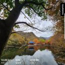 CU정읍북면삼거리점 | 내장산국립공원 단풍 산행 등산기록 등산코스ㅣ대구 kj 안내산악회 버스 이용