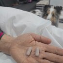 주식회사 모카 | 수면제,멜라토닌 대신 선택한 잠이든플러스