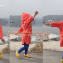 베베랑스 이미지