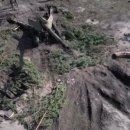 대화약품(주) 이미지