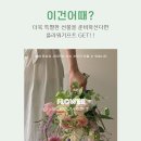 설레움55