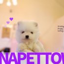 파주켄넬 이미지