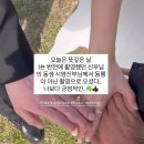 몽플라워 | 부산 야외 웨딩스냅 '고다큐' 후기 💍📸 (+달래줄래 / 이아소메이크업 / 포브플라워 / 무몽드레스)