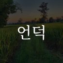 정도농장 이미지