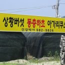 계숙농장 이미지