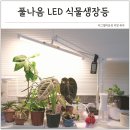 햇살광고 | 집에서 식물키우기 반려 식물등 인테리어 식물성장조명 풀나옴 자바라 LED 식물생장등