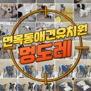 멍도레 네이버블로그