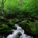 장전 숨 이미지