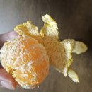 성배농장 이미지