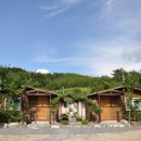 만리포헛개나무농장 이미지