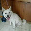 신월동011 이미지