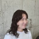 포코헤어 이미지
