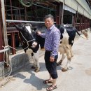 얼룩목장 이미지