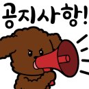 521펫살롱 이미지