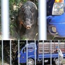 (주)엠버저 이미지