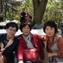 부여(임천)-15 이미지