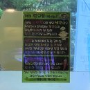 일산우동포차 | [고양·일산]일산닭발 우동 포차감성 숲속마을 풍동술집 깡우동&amp;깡닭발