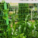 예나농장 이미지