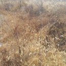 남지부동산 이미지